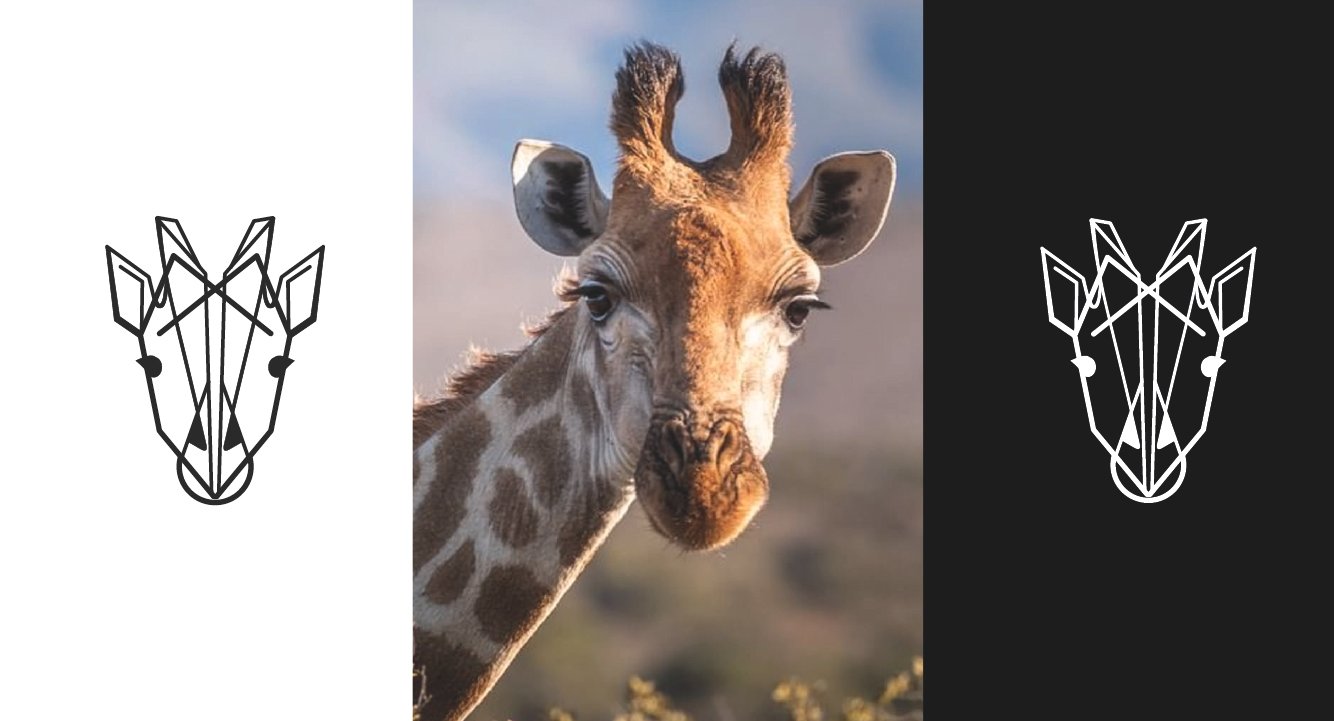 Diseño de Branding - Mejor Agencia de Branding